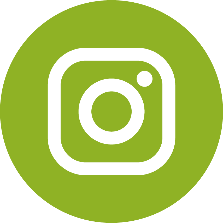 Instagram link icon