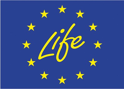 Life Logo