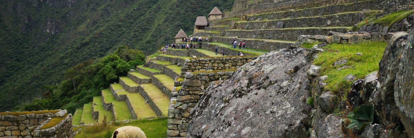 Machu Pichu 