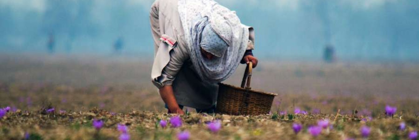 Better future for people and biodiversity through ethical sourcing 