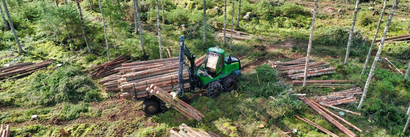 [Workshop] Navigating Legality & Sustainable Timber Challenges - From Production to End Consumer
