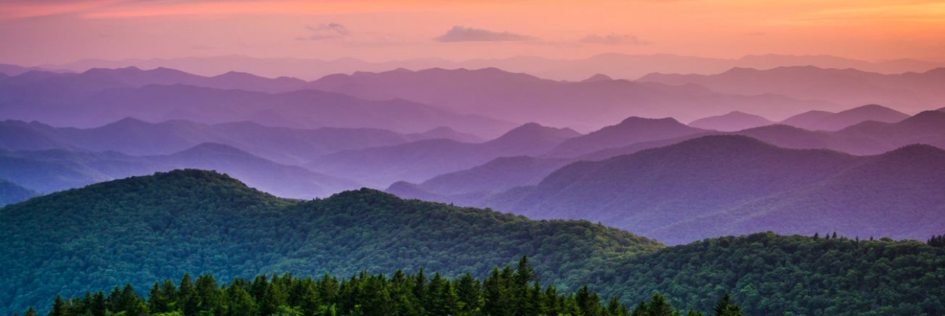 Ecosystem restoration 