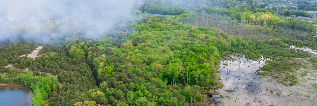 EU Deforestation Regulation (EUDR)