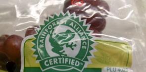 Find certificates