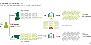 Diagram of multisite credit system