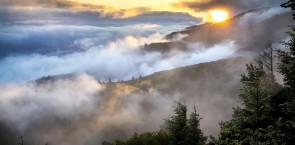 Mist