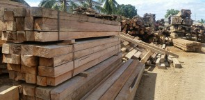 Timber-Solomon-Islands
