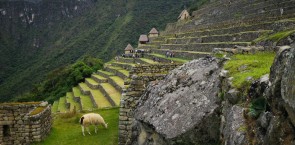 Machu pichu