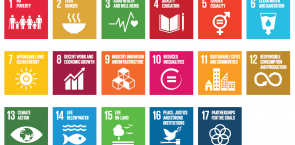 New study: SDG’s can help companies spot unsustainable supply chains 