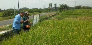 farmer