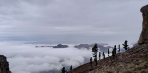 View of the La Cumbre management area of Gran Canaria