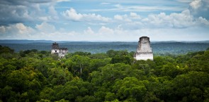 The magnificent Maya Biosphere Reserve