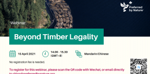 TIMBER LEGALITY WEBINAR IN CHINA