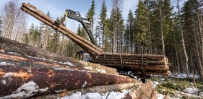 Preferred by Nature supports FAO in developing online portal TimberLex for forest-related legislation and timber legality 