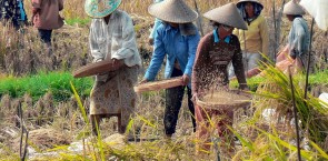 SRP Chain of Custody (CoC) Verification Standard