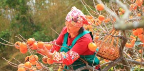 UEBT natural ingredient certification