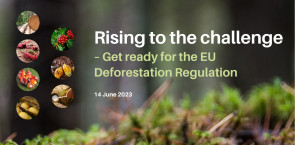 Join us in Berlin to prepare European businesses for a future with the EU Deforestation Regulation