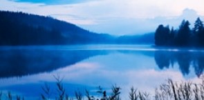 Lake and forest in fog