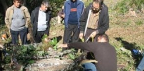 A group of forest owners discussing in open air.