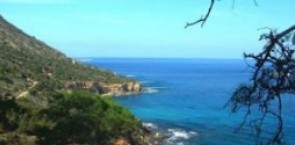 Cypres coast line