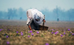 Un viitor mai bun pentru oameni si biodiversitate printr-o aprovizionare etica