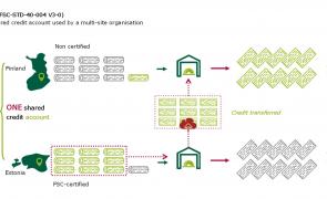 Diagram of multisite credit system
