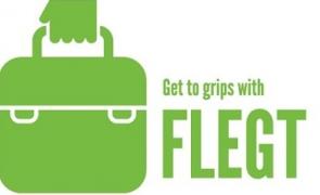 FLEGT logo