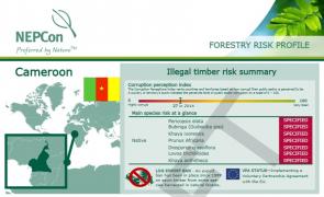 Forestry risk profile Cameroon
