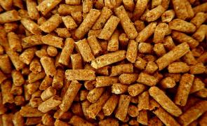 Wood pellets