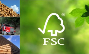 FSC trademark 