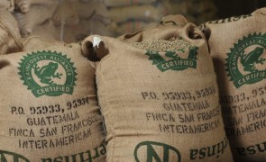 Rainforest Alliance: Still room for ‘small adjustments’ in new certification system