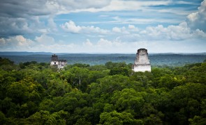 The magnificent Maya Biosphere Reserve