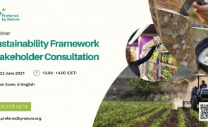 Consultation webinar 