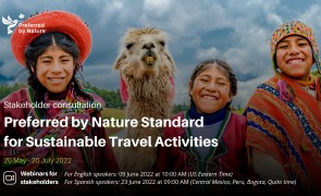 Travel standard consultation