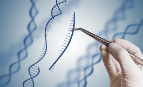 FSC gets pushback on the unprecedented genetic engineering project