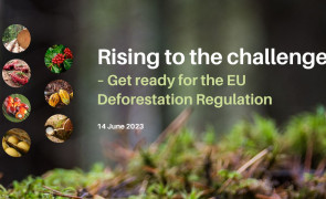 Join us in Berlin to prepare European businesses for a future with the EU Deforestation Regulation